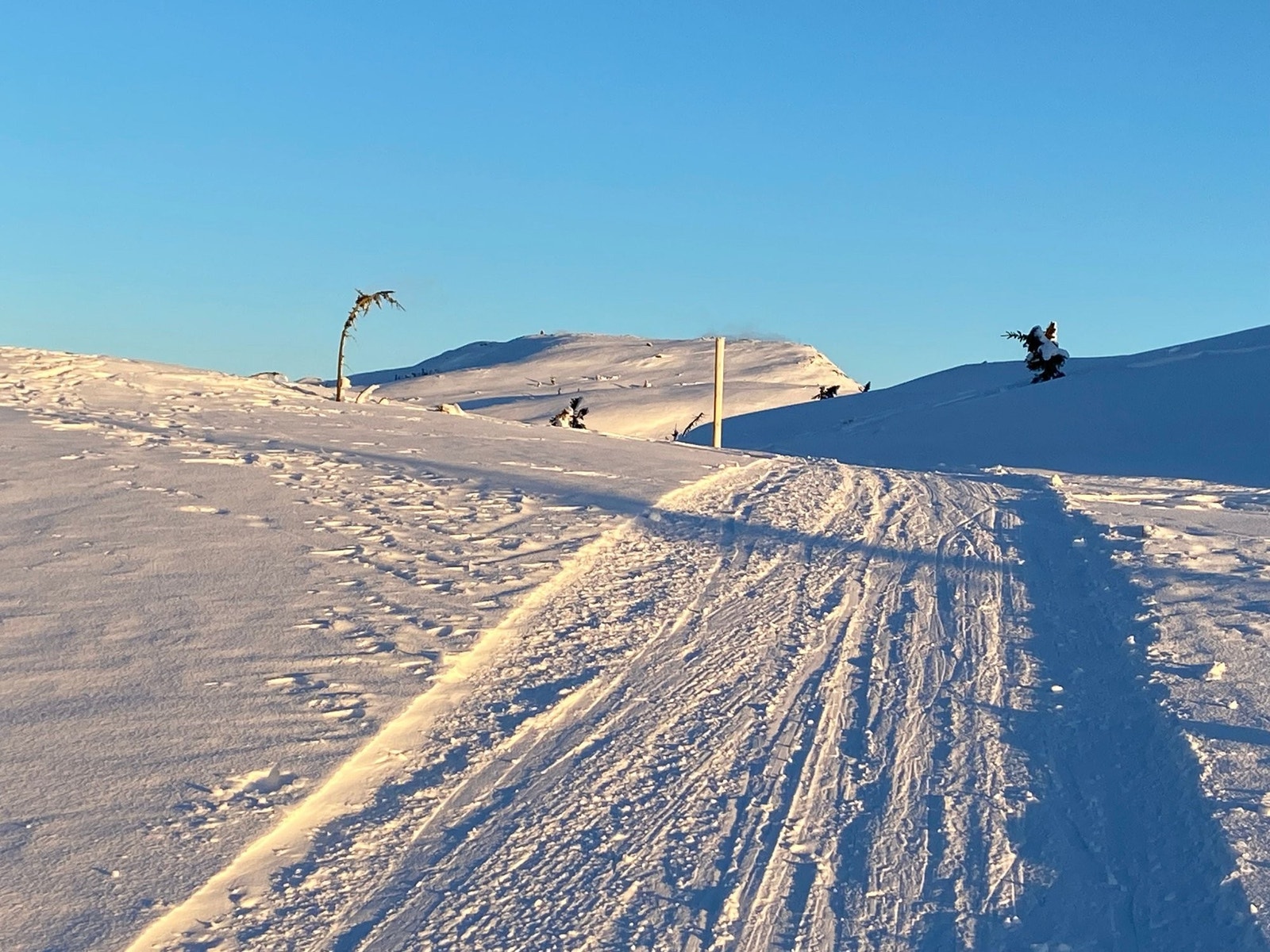 På vei mot Søtelifjell - en flott skitur Galleribilde