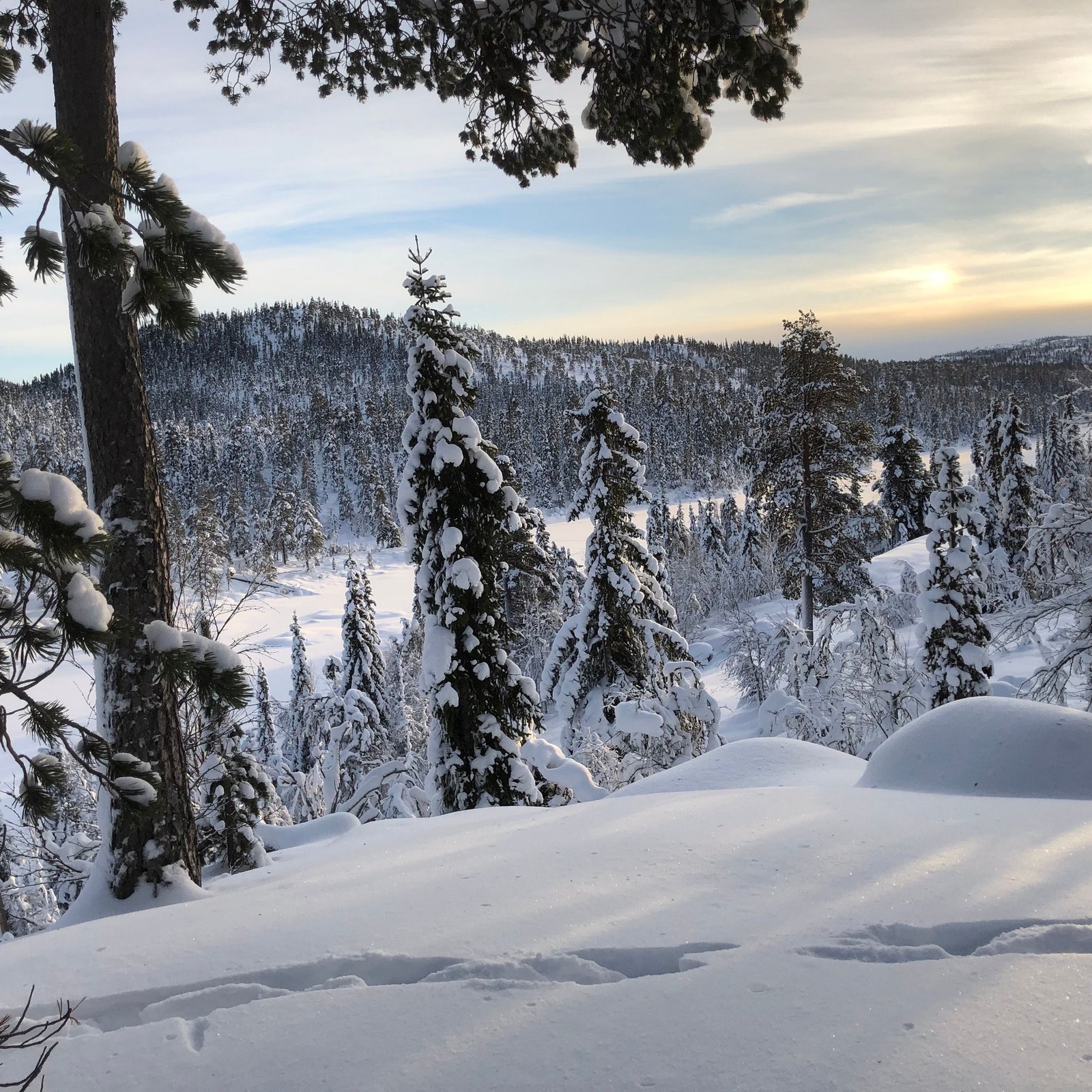 Fra tomta mot Svansvatn og Trillemarka (mot sørøst) Galleribilde