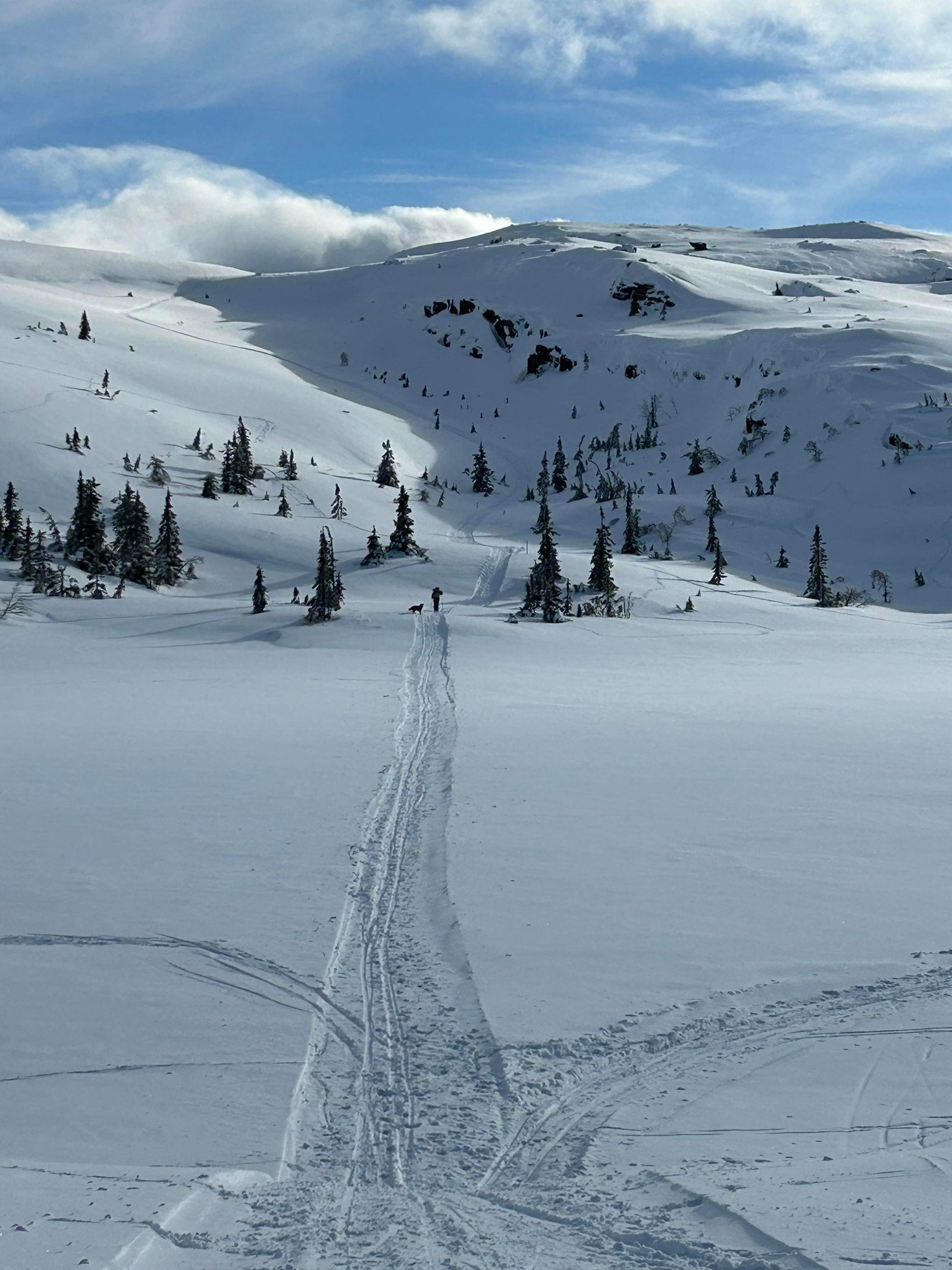 Innover Søtelifjell Galleribilde