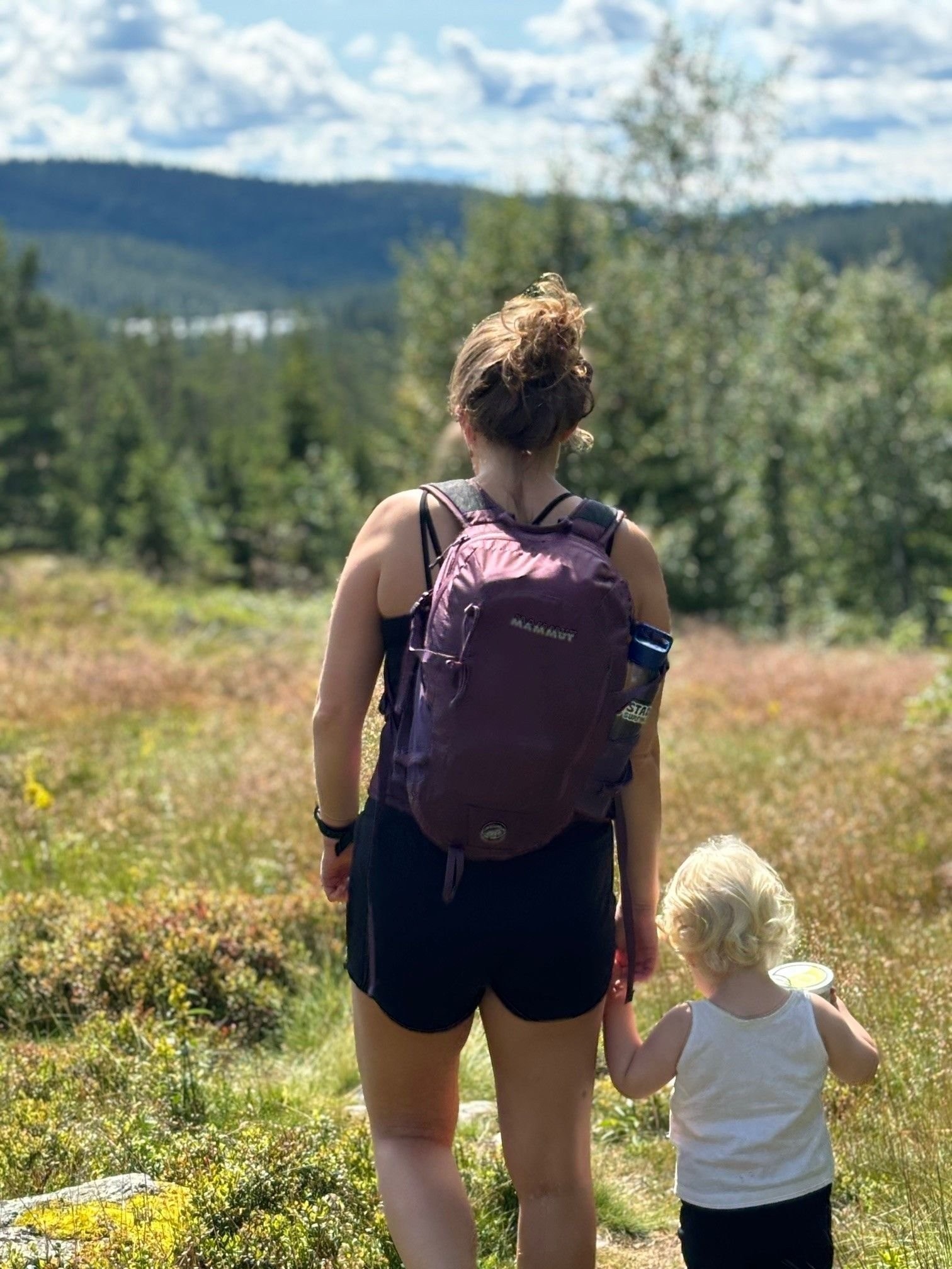 To på tur Galleribilde