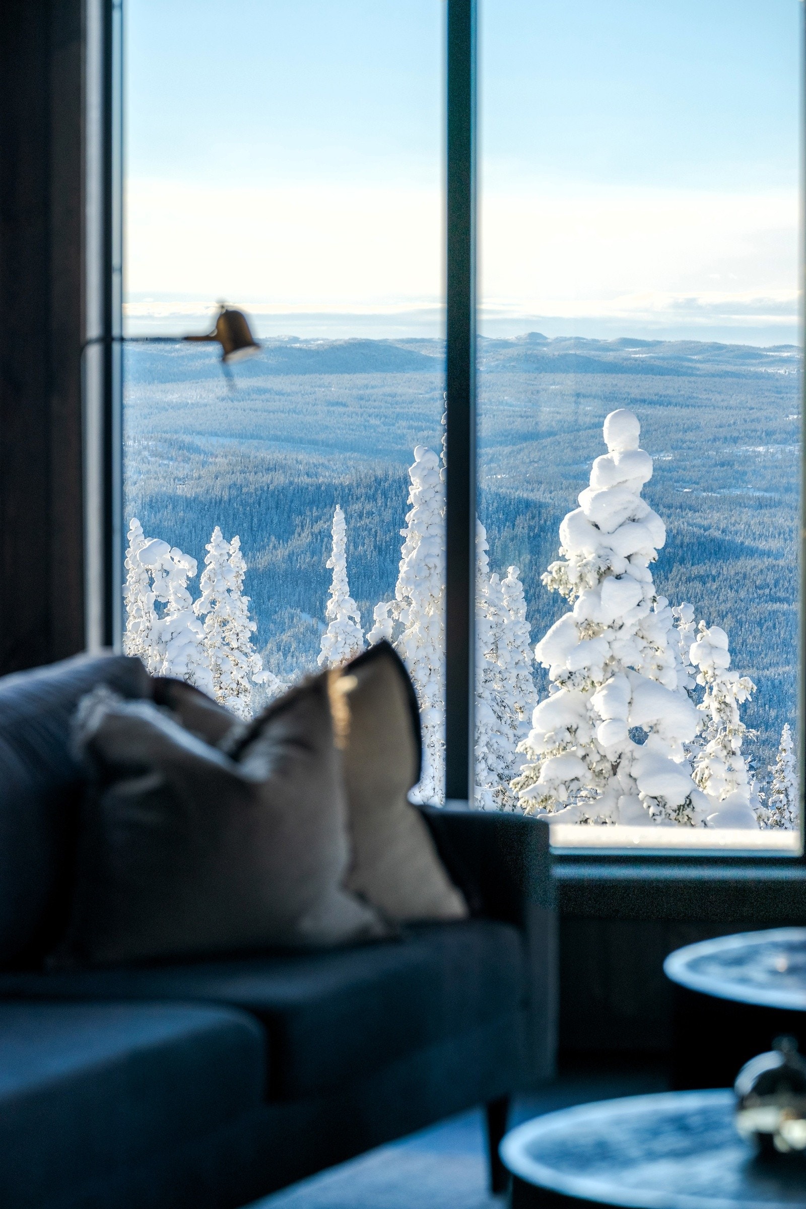 Tett på flott, norsk natur Galleribilde