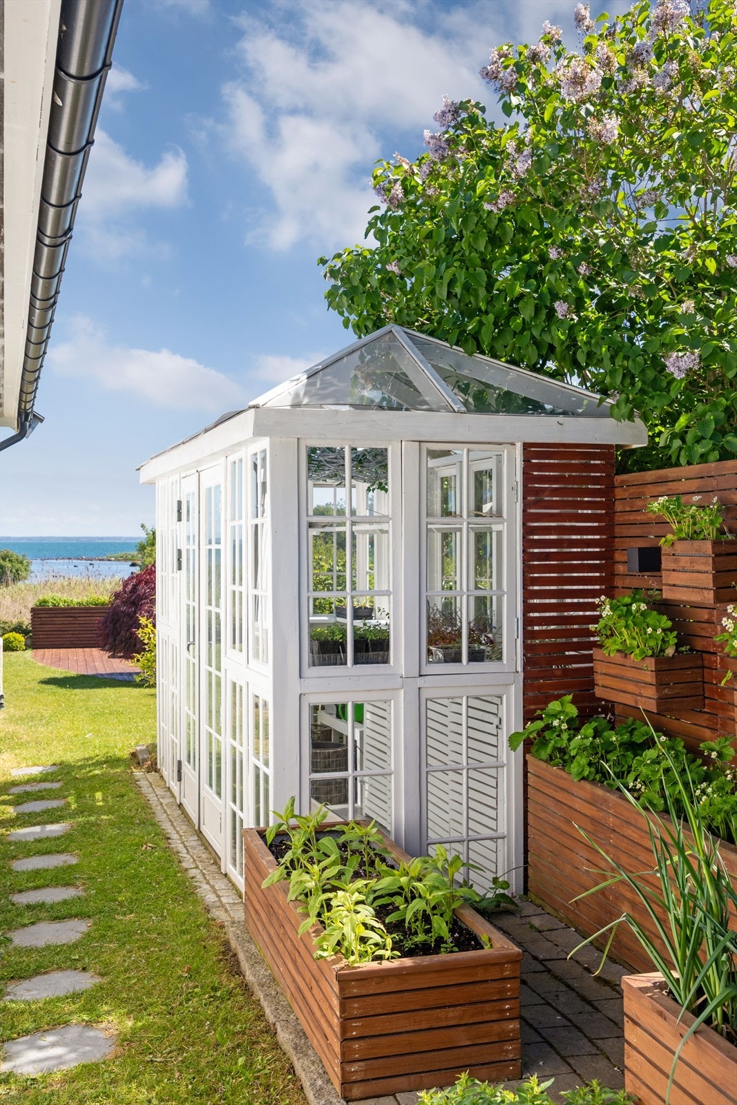 Sjarmerende, hvitmalt drivhus med sprossevinduer og glasstak - flere plassbygde plantekasser, godt tilrettelagt for hobbygartneren. Galleribilde