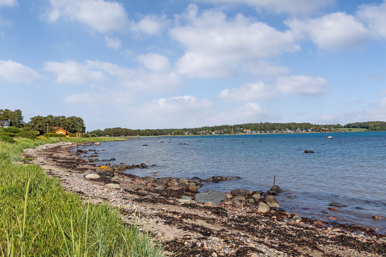 Nærområdet. Galleribilde