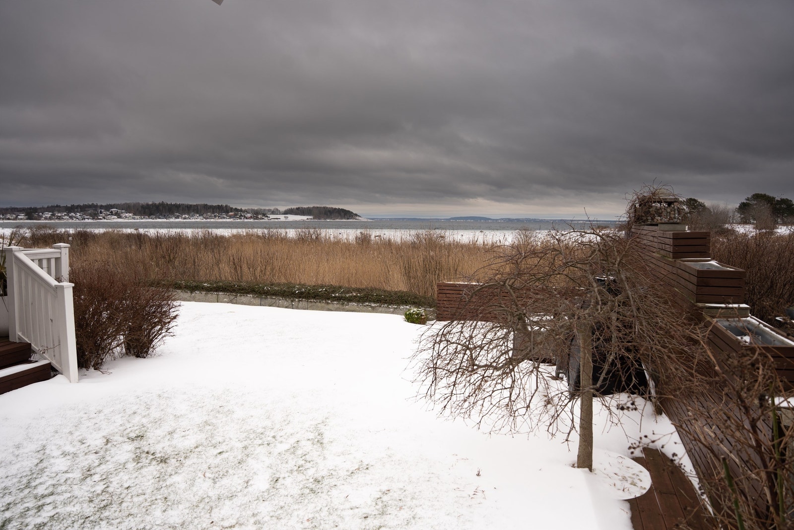 Vinterbilde. Galleribilde