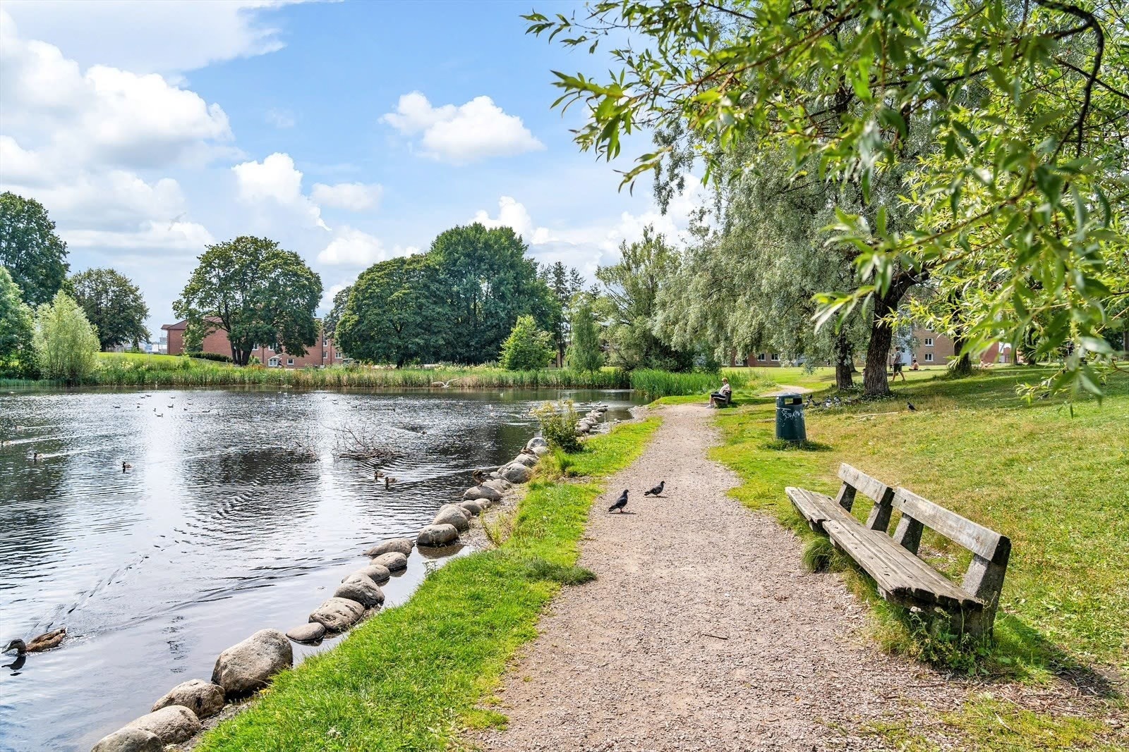 Parkområdene på Hovin er et flott sted å legge spaserturen både sommer og vinter. Galleribilde