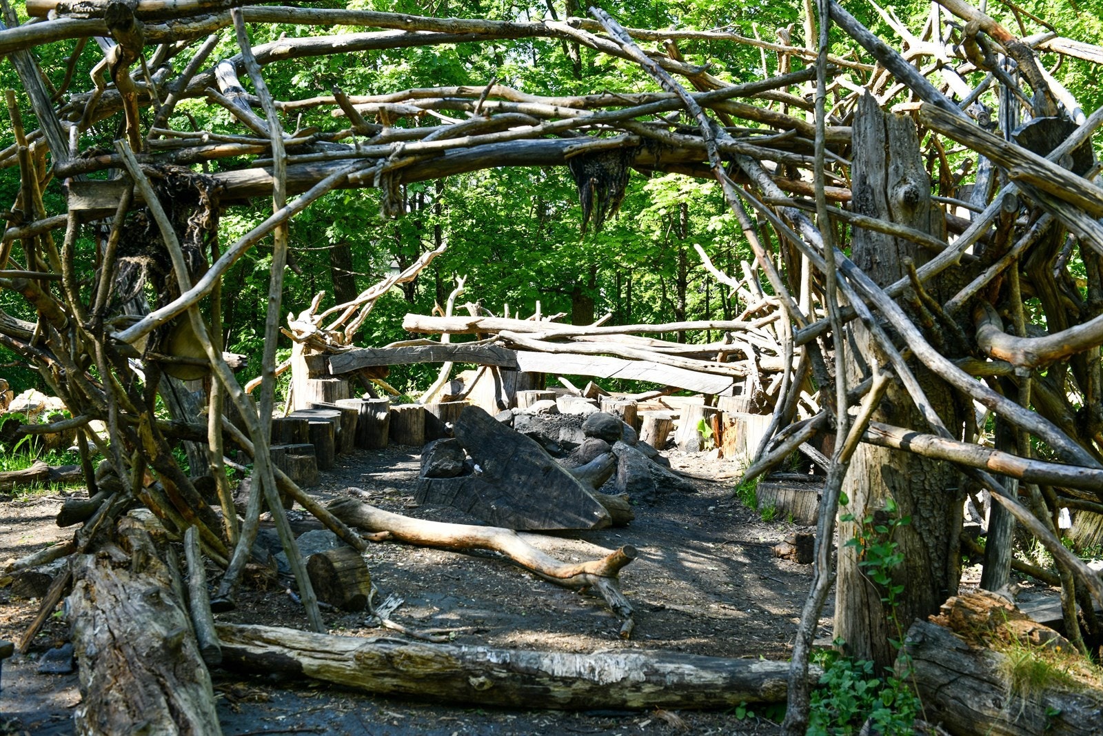 Det er flotte tur- og lekemuligheter for barn også i Nordseterskogen Galleribilde