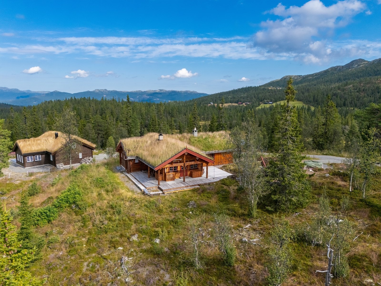 Sommerbilde. Galleribilde