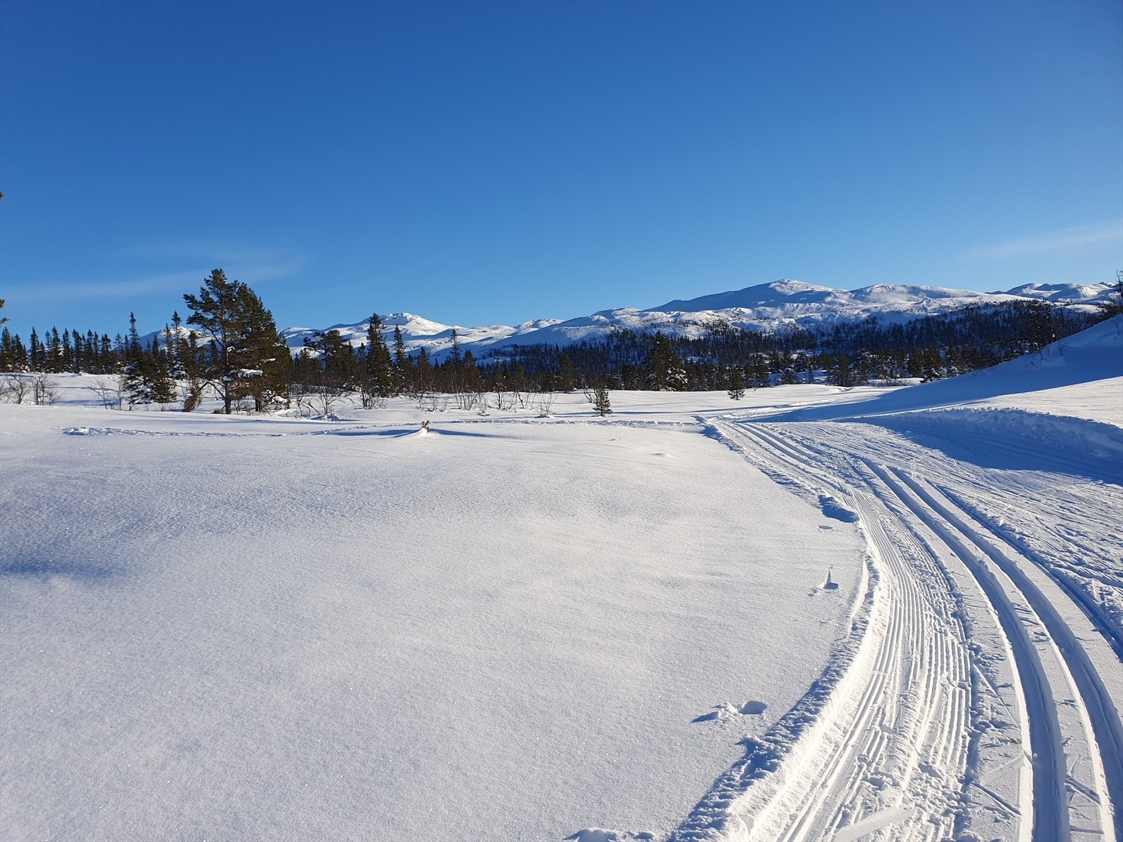 Ca. 300 meter fra hytta finner du oppkjørte skiløyper med et løypenett på rundt 40 km, som gir flotte muligheter for langrenn og naturopplevelser vinterstid. Galleribilde