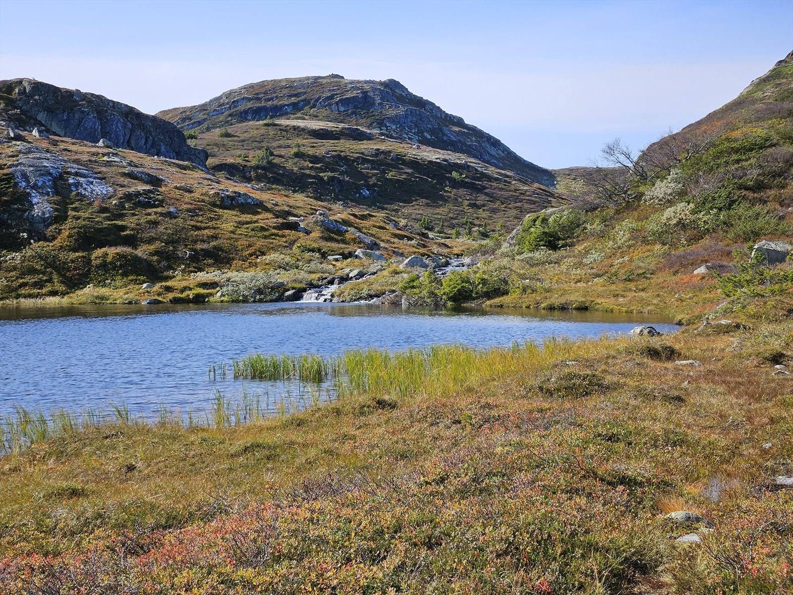 Det er mange fine fjellvann i området med mulighet ørretfiske eller et forfriskende bad. Galleribilde