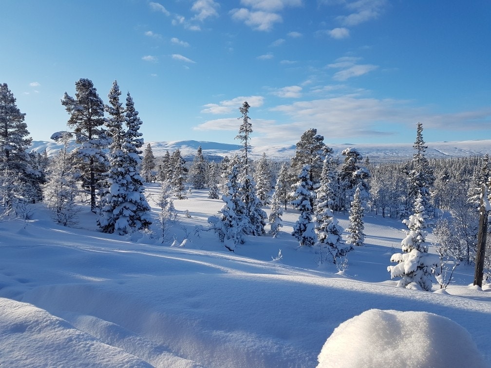 Hytta ligger 930 moh og området er svært snørikt. Galleribilde