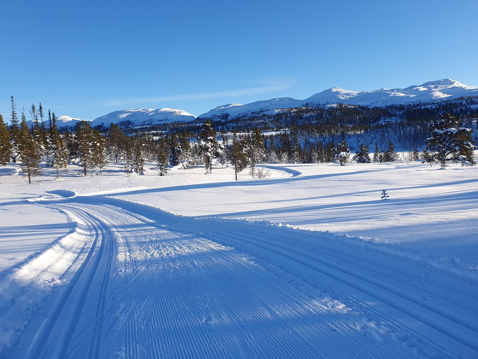 Et eldorado for de som liker å gå på ski. Galleribilde
