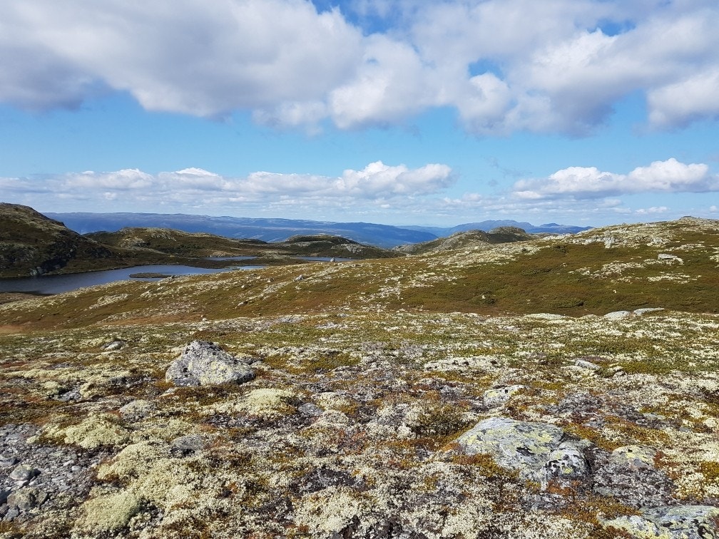 Området byr på fantastiske turområder - perfekt for deg som elsker lange fjellturer i åpent og urørt landskap. Galleribilde