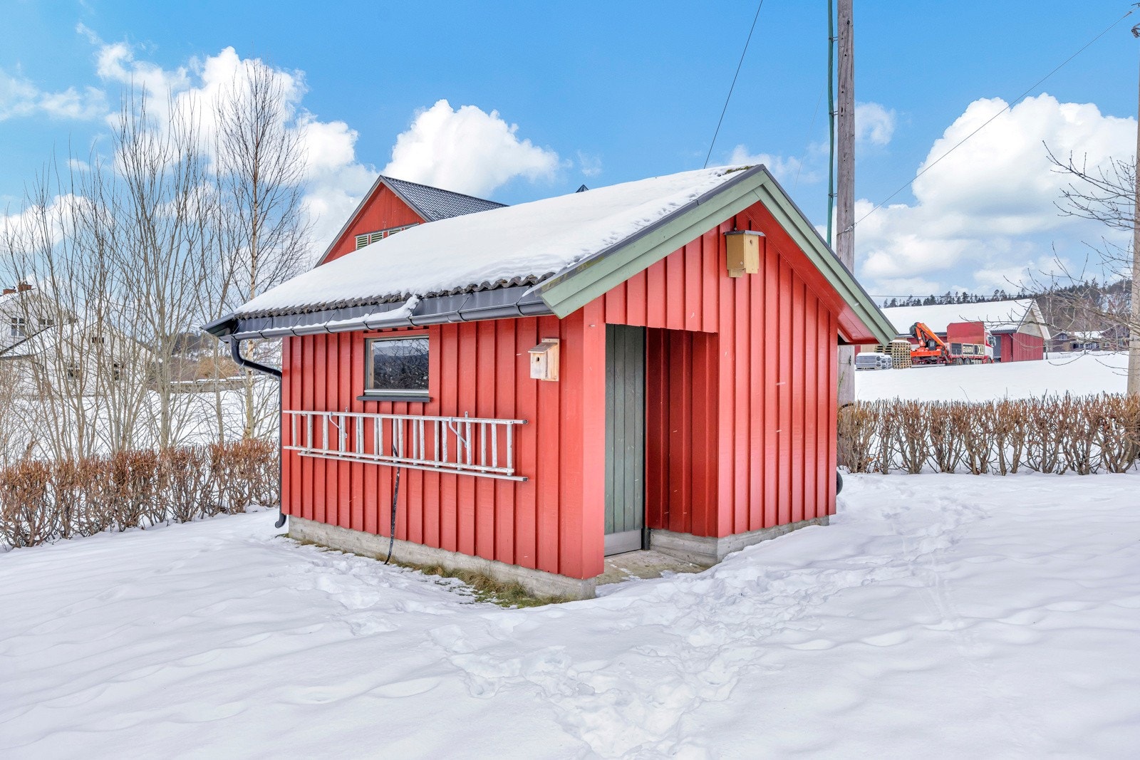 Uthus i hagen Galleribilde