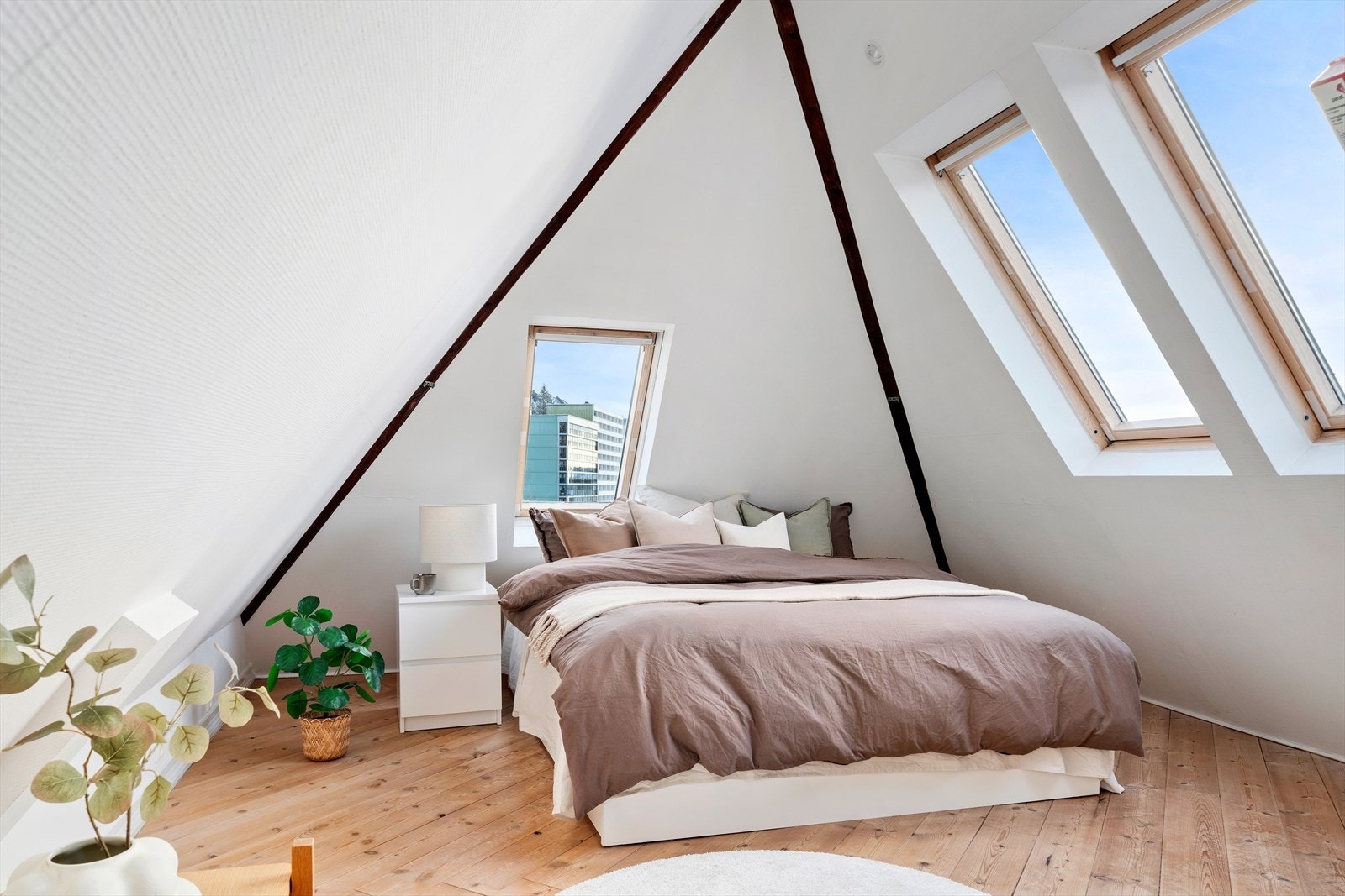 Velux vinduer i taket Galleribilde