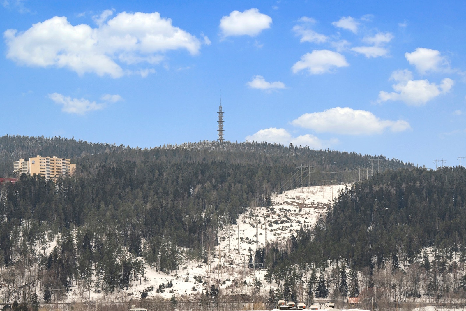 Nydelig utsikt over skog og grøntområde. Galleribilde