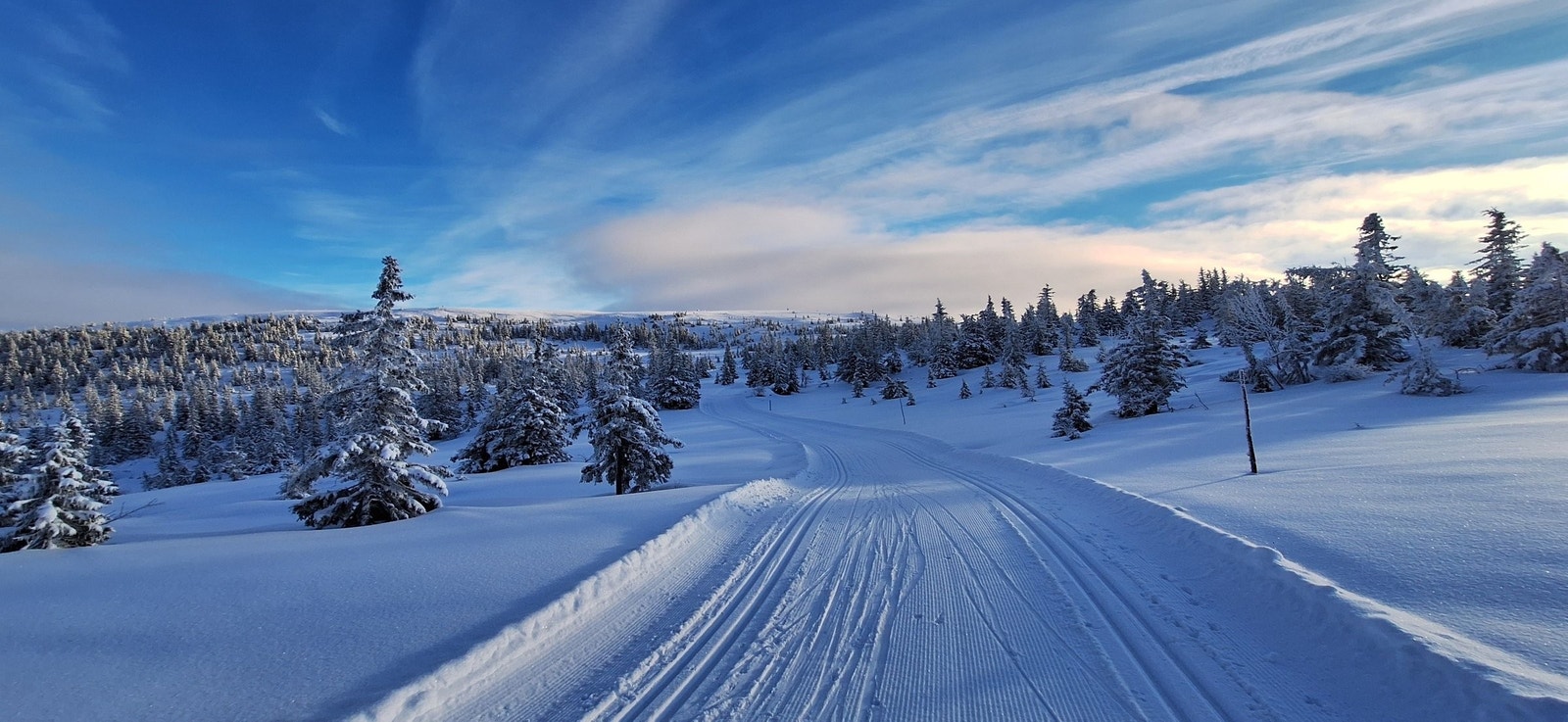 Løyper på mange mil - bare ca. 70 m fra hytta
preparert skiløype. K Galleribilde