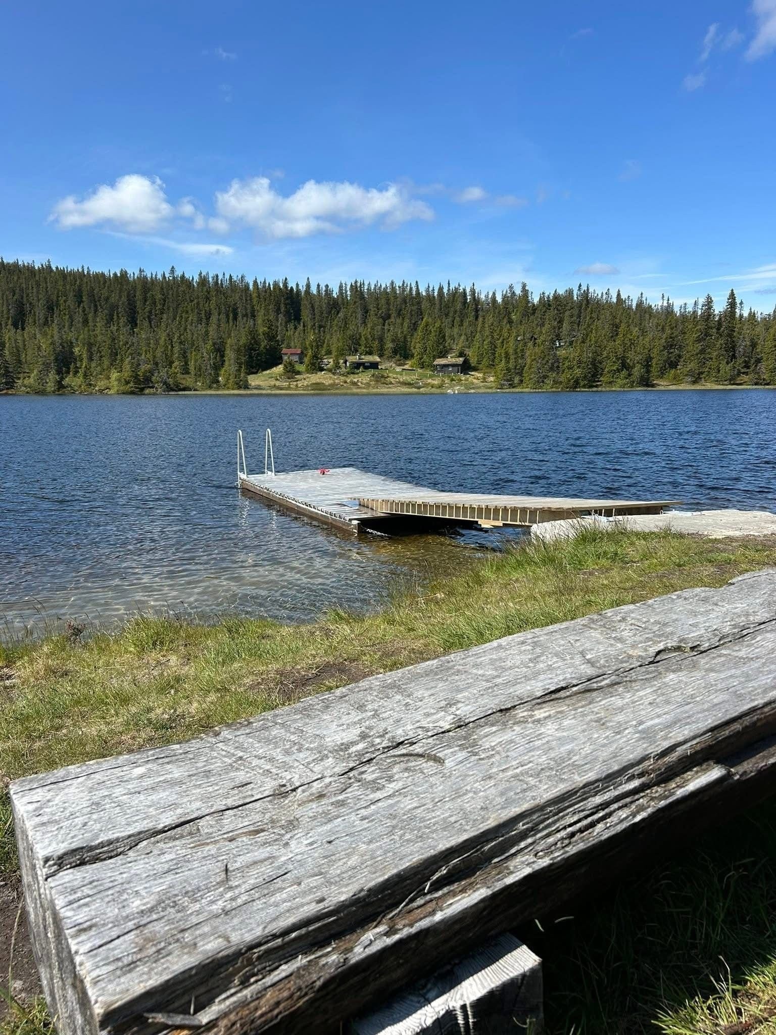 Badeplass ved Sunntjønn Galleribilde