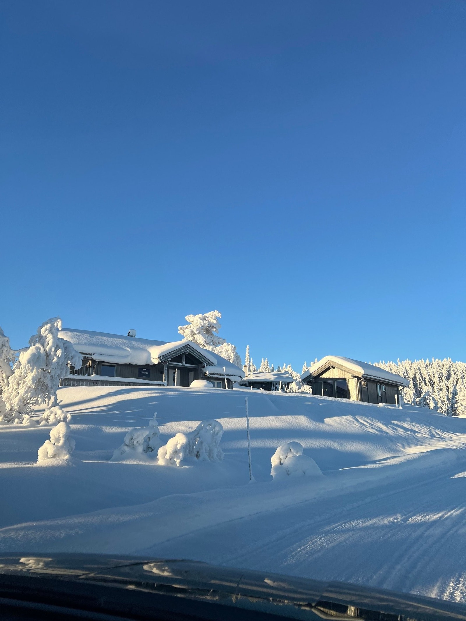 Hyttetun i vinterskrud Galleribilde