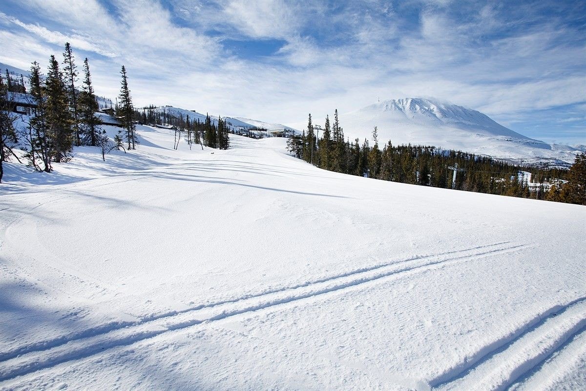 Fine langrennsløyper rundt Kvitåvatn og videre mot Gaustadtoppen. Galleribilde
