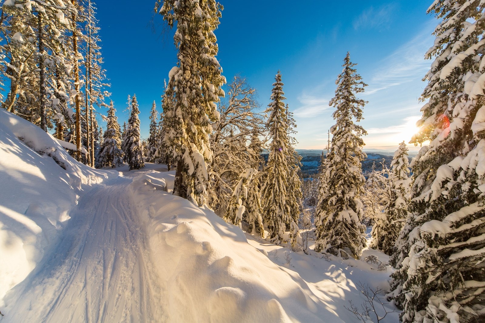 Flotte skiløyper i området - her ligger marka bare minutter unna. Galleribilde