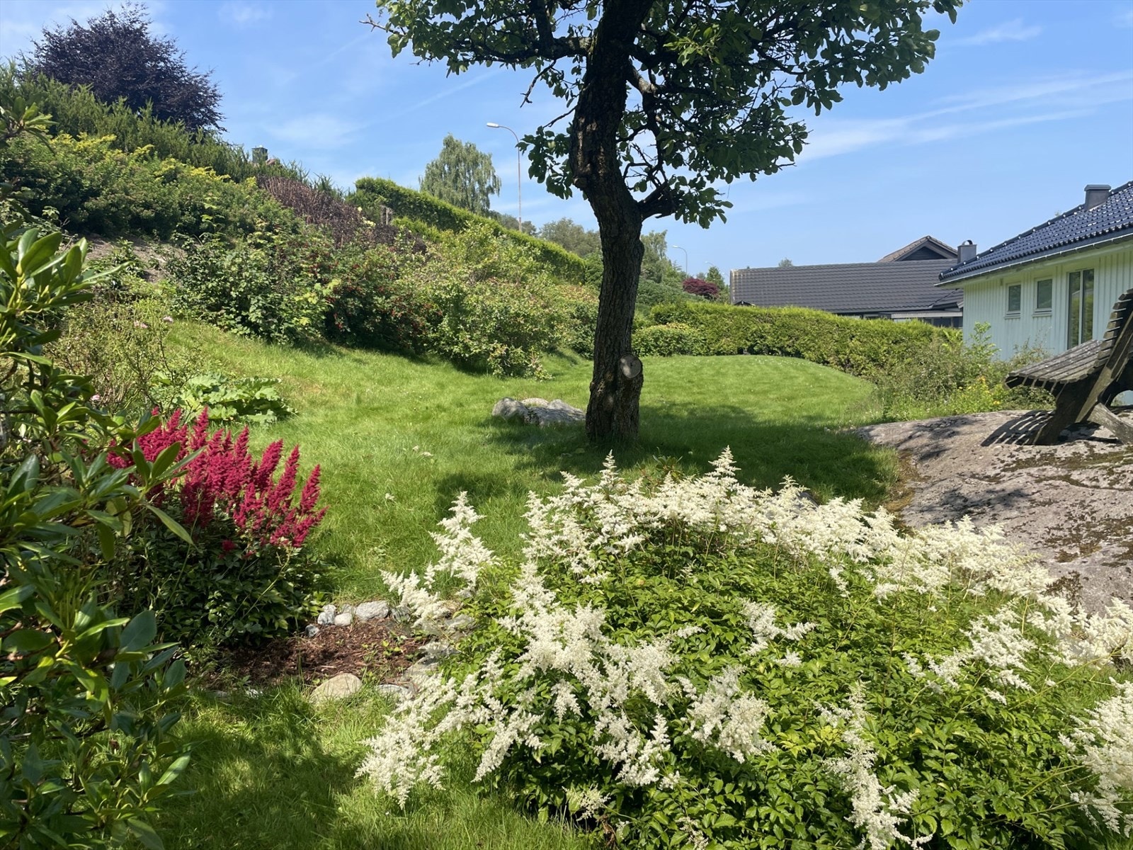 hage.jpg Galleribilde