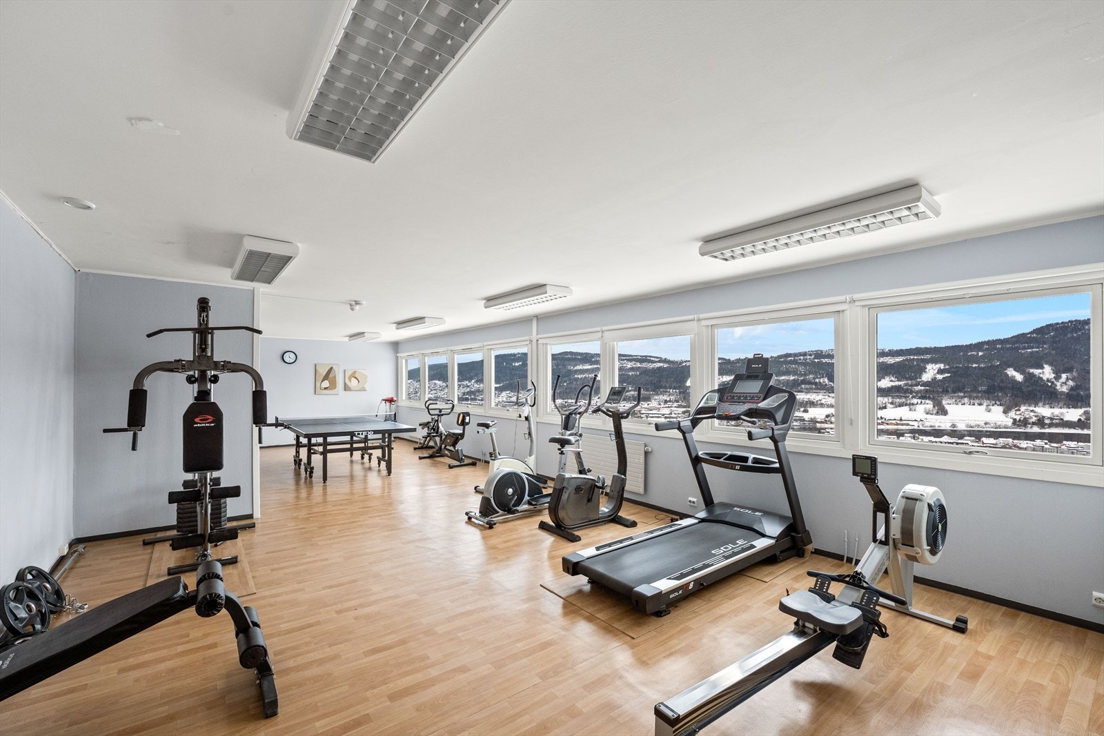 Felles trimrom med solarium Galleribilde