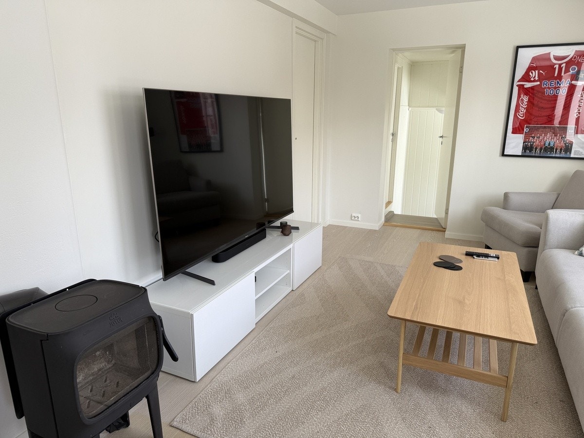 Gammelt bilde Galleribilde