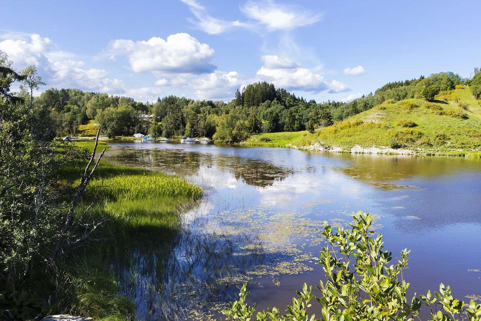 Flateby er kjent for sitt fine nærområde både sommer og vinter. Et eldorado for skimuligheter, gåturer eller bading. Galleribilde
