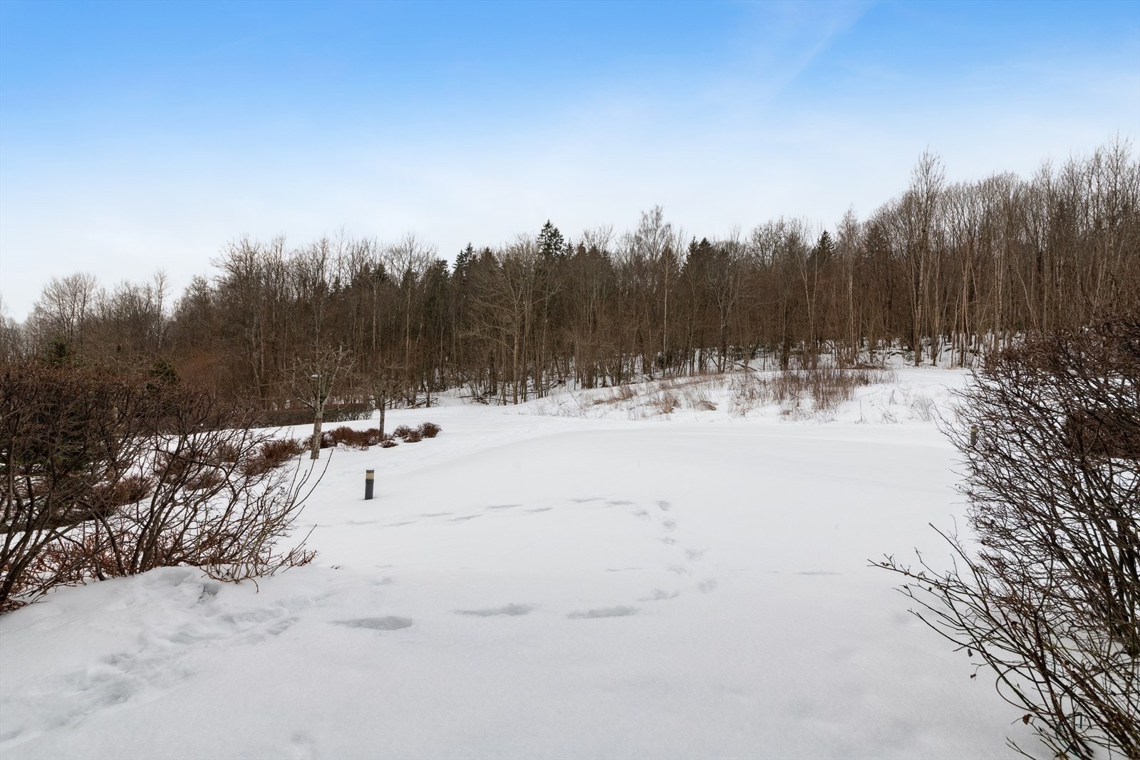 Utsyn fra stuen og terrassen til skogen og grøntareal Galleribilde