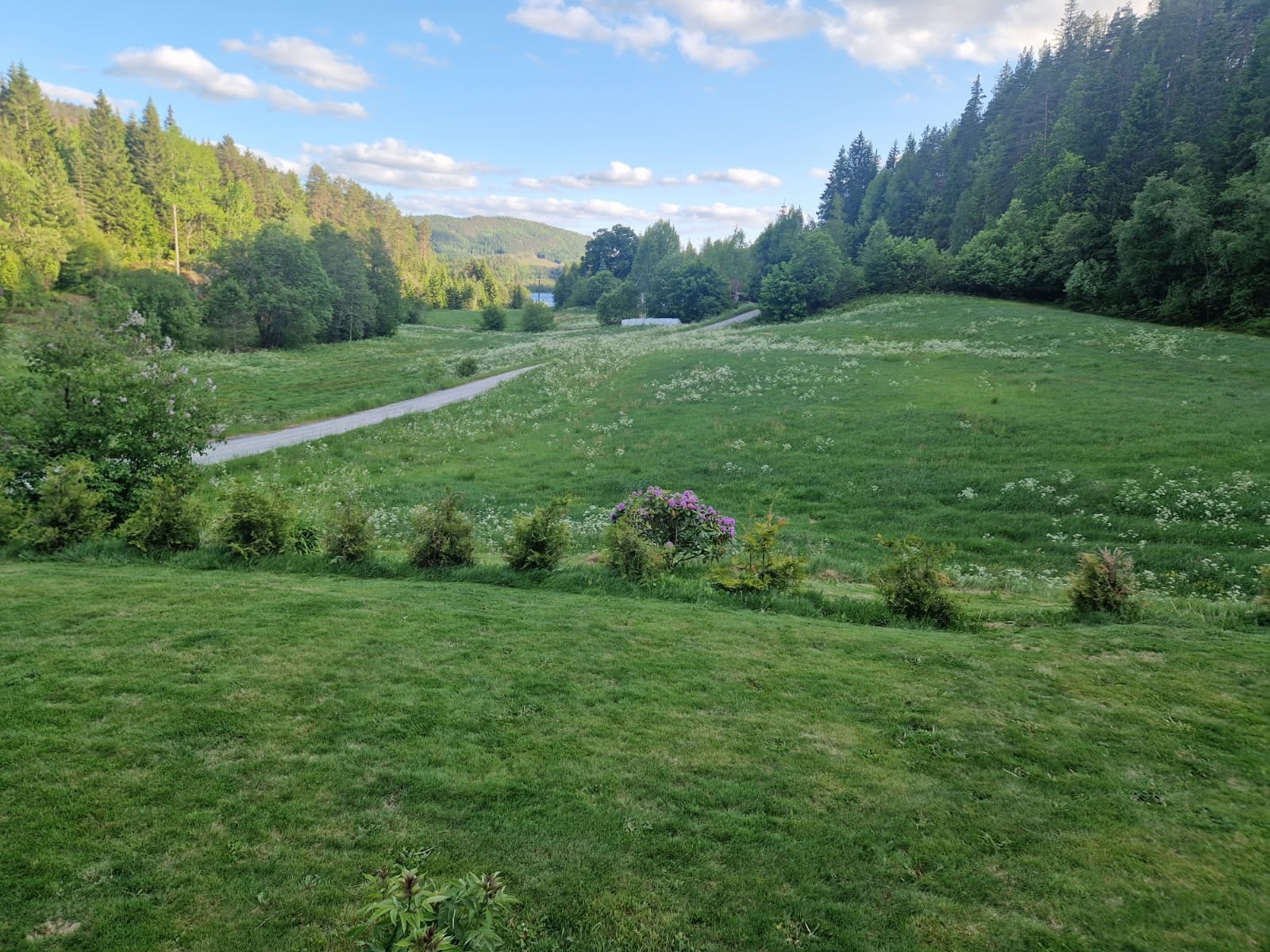 Privat foto Galleribilde