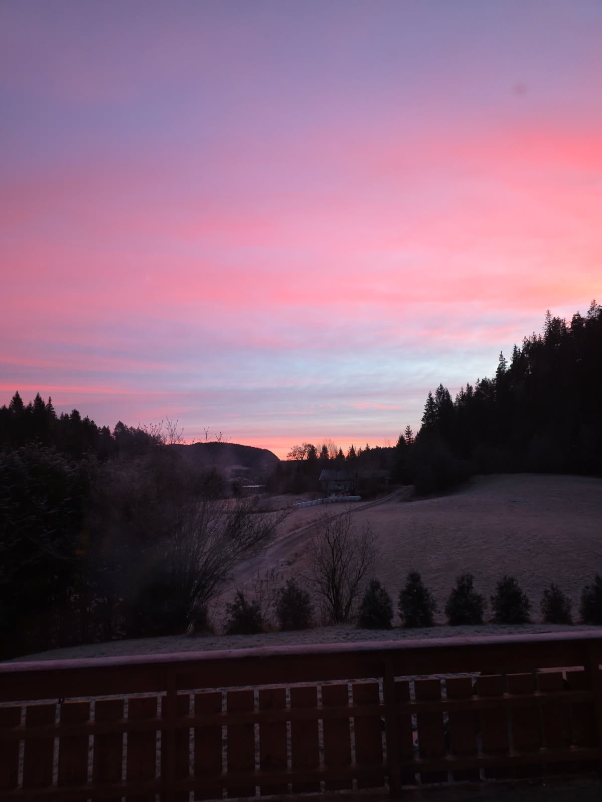 Privat foto Galleribilde