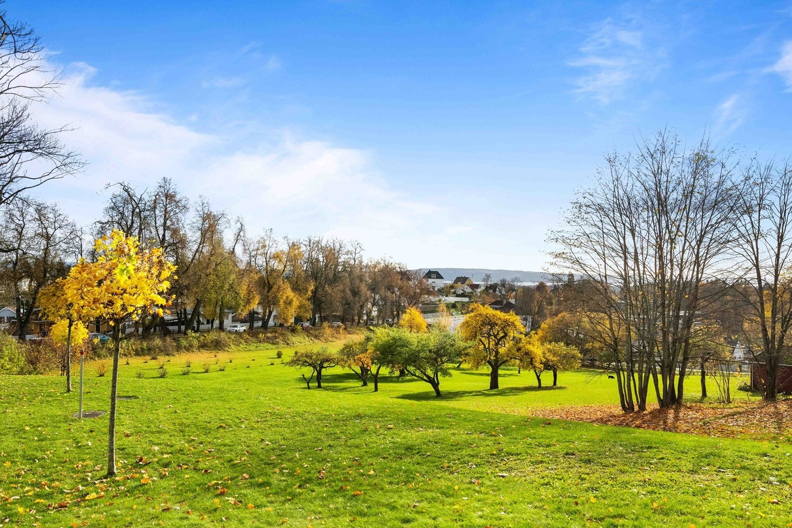 Park med nydelige turmuligheter Galleribilde