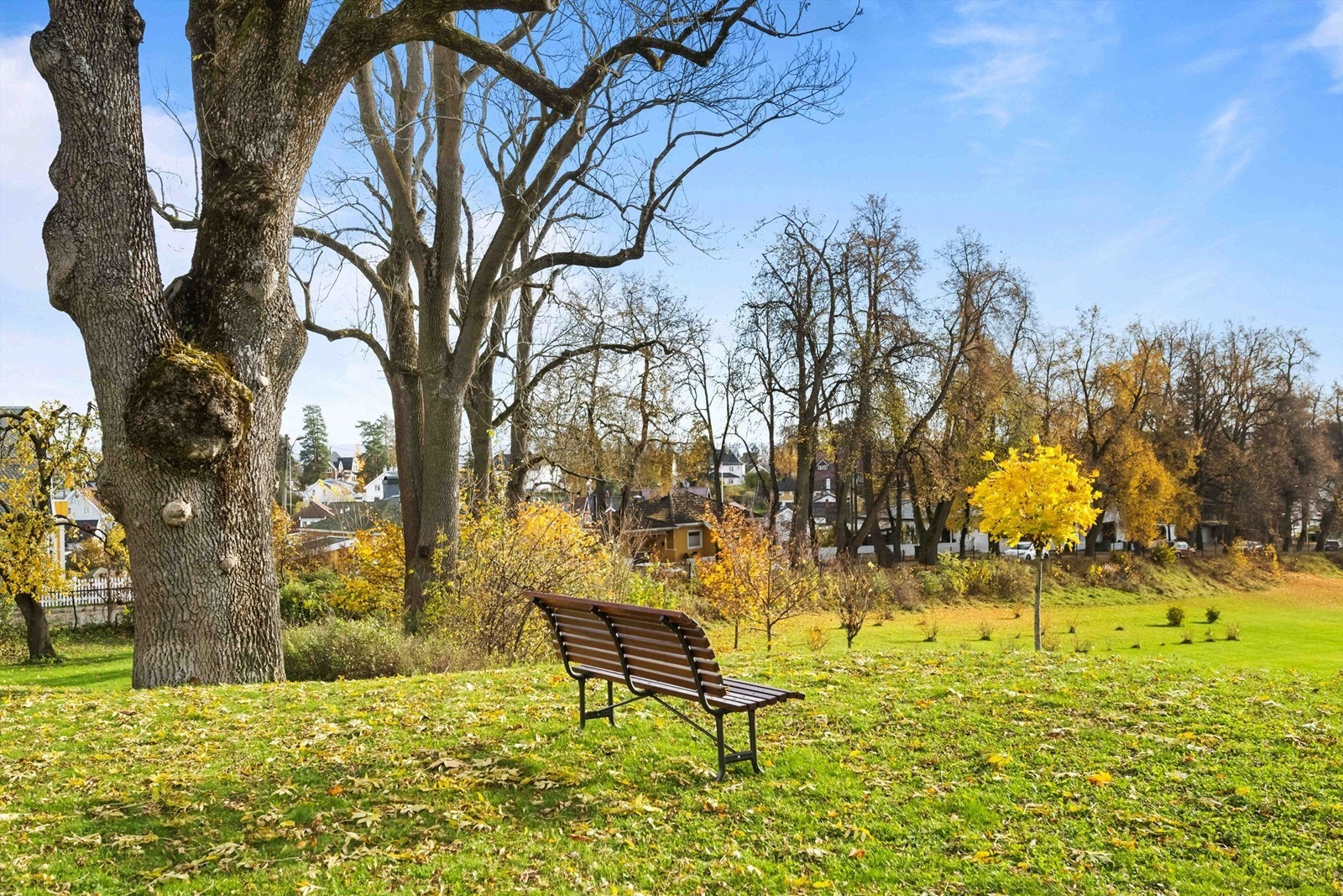 Du har kort vei til Bærumsmarka, som byr på flotte turmuligheter året rundt, enten du liker fotturer om sommeren eller skiturer om vinteren Galleribilde