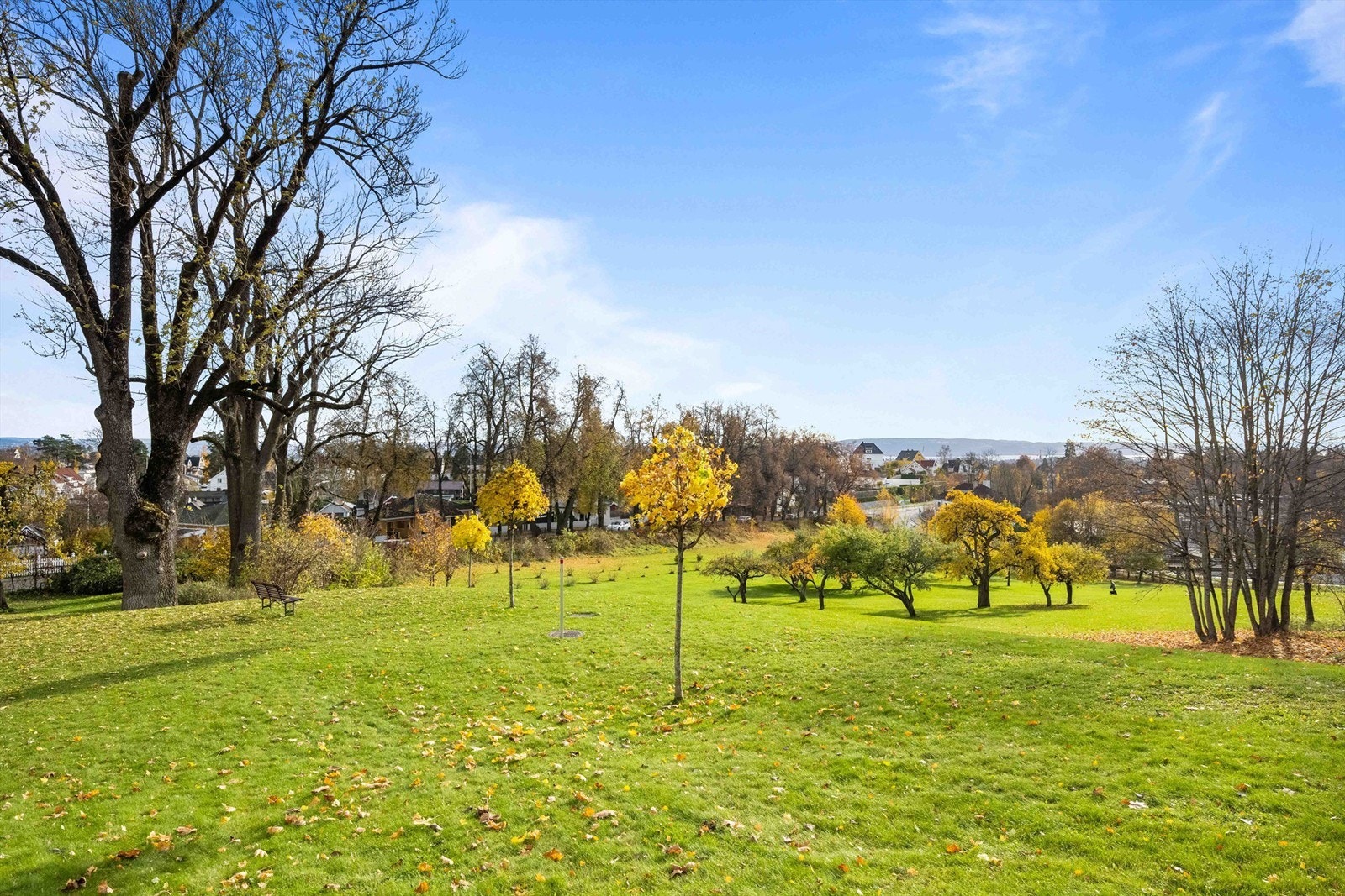 I tillegg er området rikt på sportsfasiliteter med alt fra fotballbaner og idrettshaller til treningssenter og golfbaner i nærheten Galleribilde