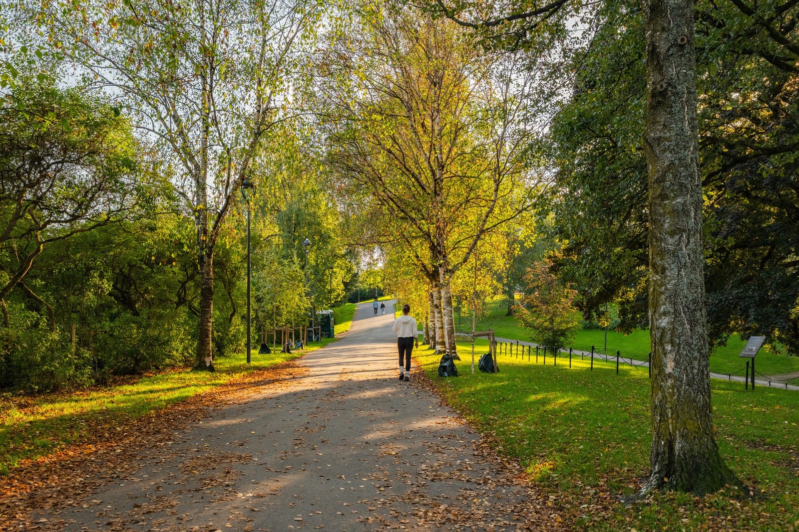 St. Hanshaugen har gode tur- og rekreasjonsmuligheter. Galleribilde