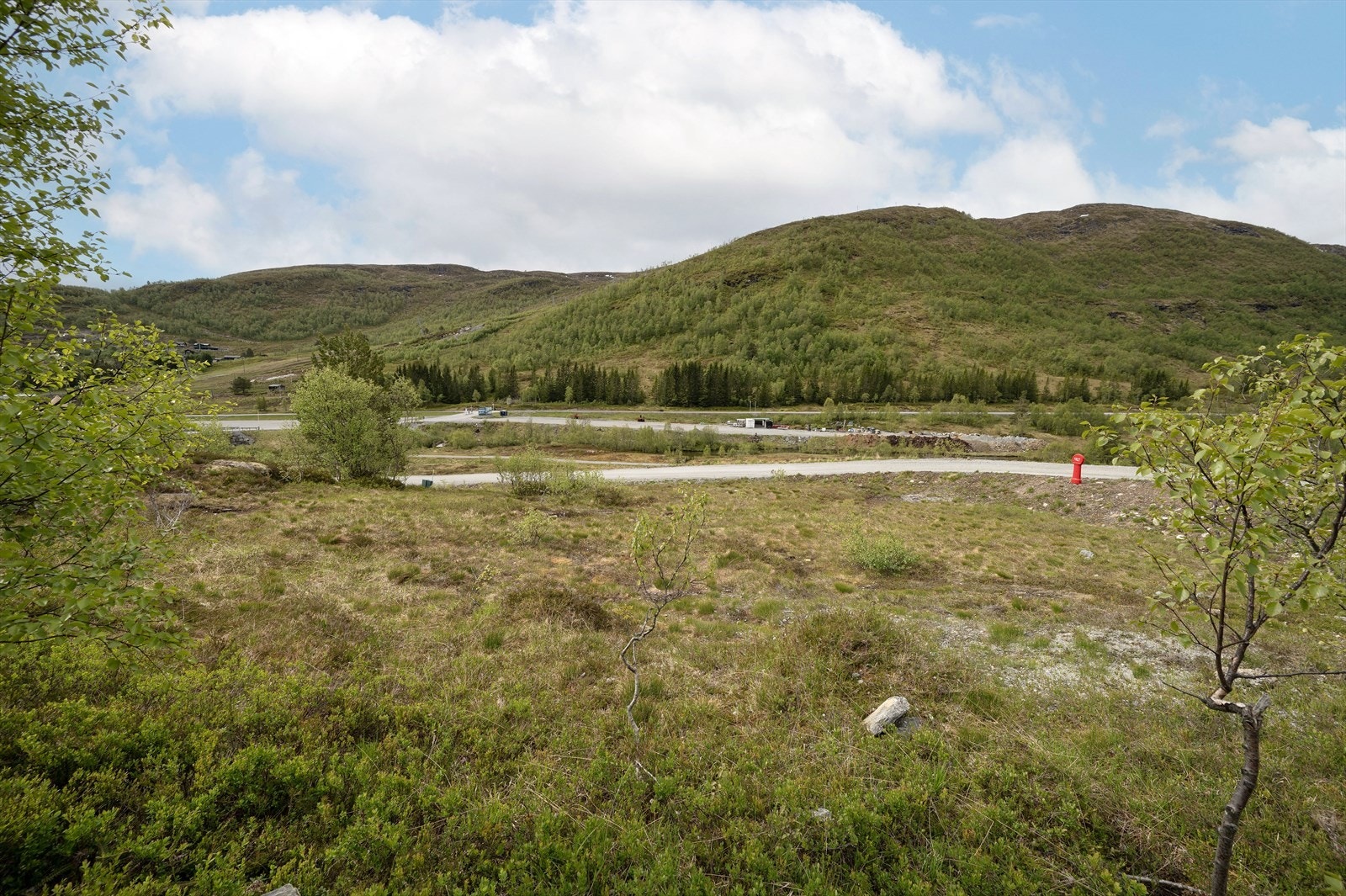 Utsikten rett frem fra tomten Galleribilde