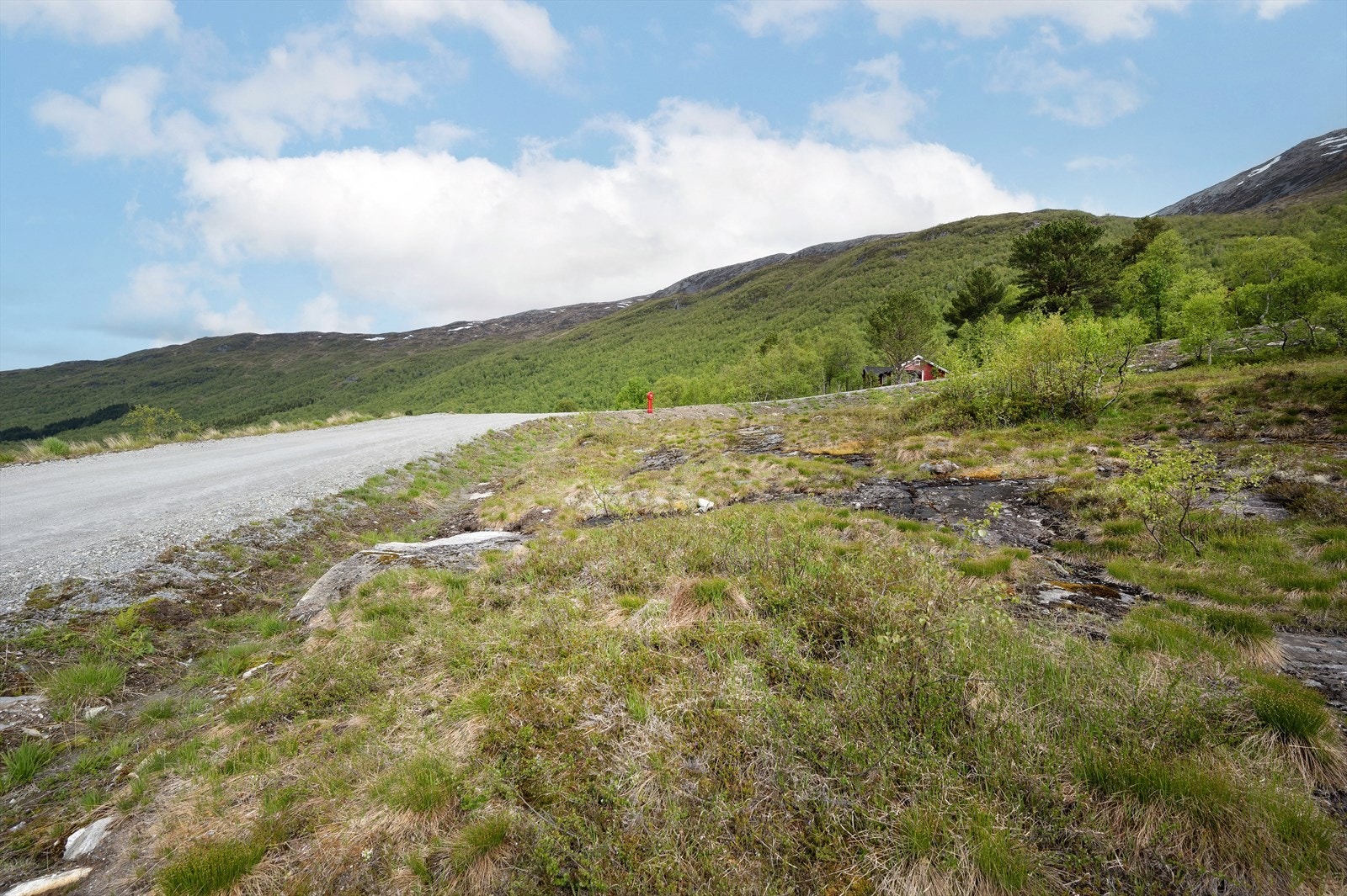 Det er fritt og fint rundt tomten - noe som vil gi godt med naturlig lys inn til en fremtidig hytte. Galleribilde