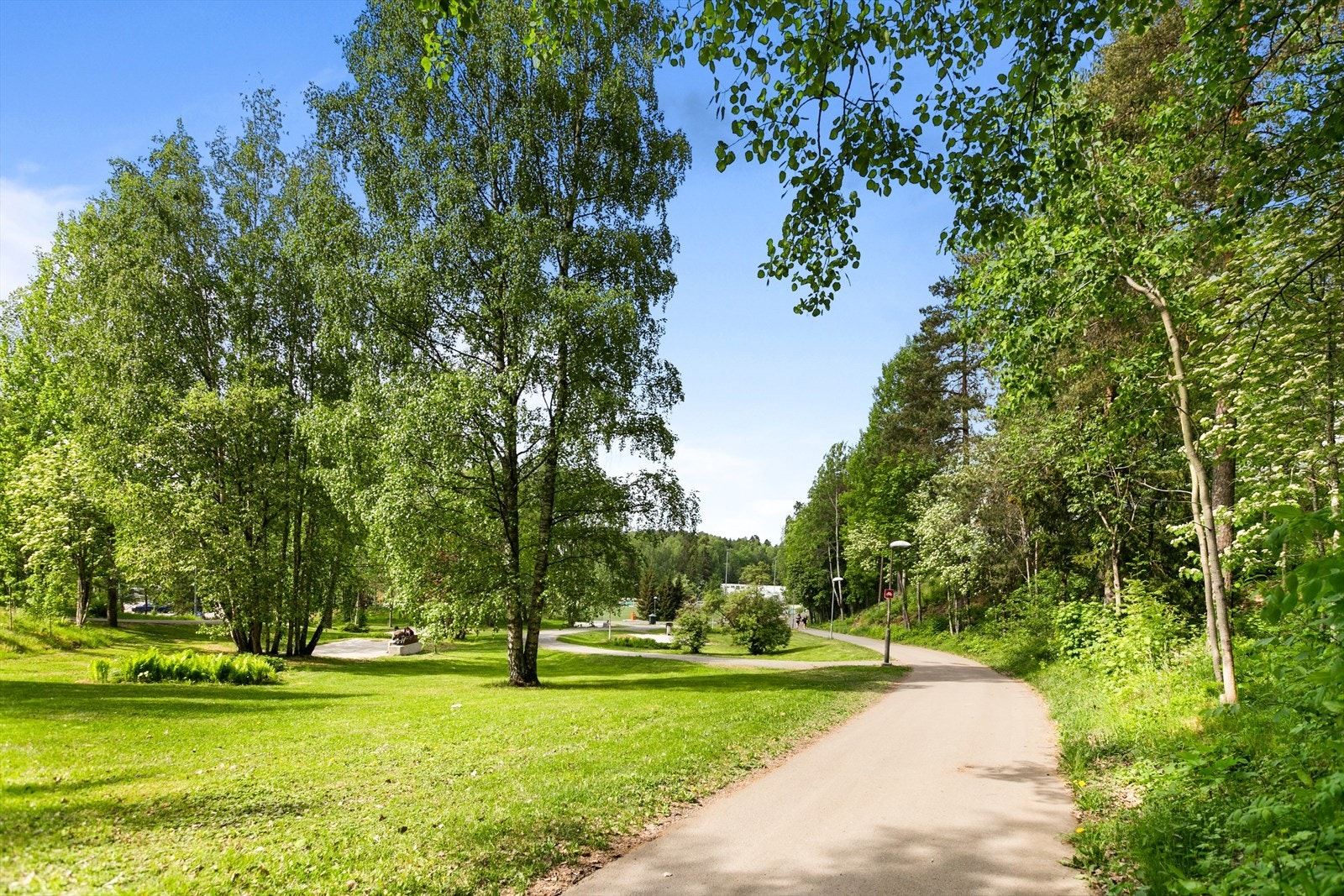 Fine turområder rett i nærheten! Galleribilde