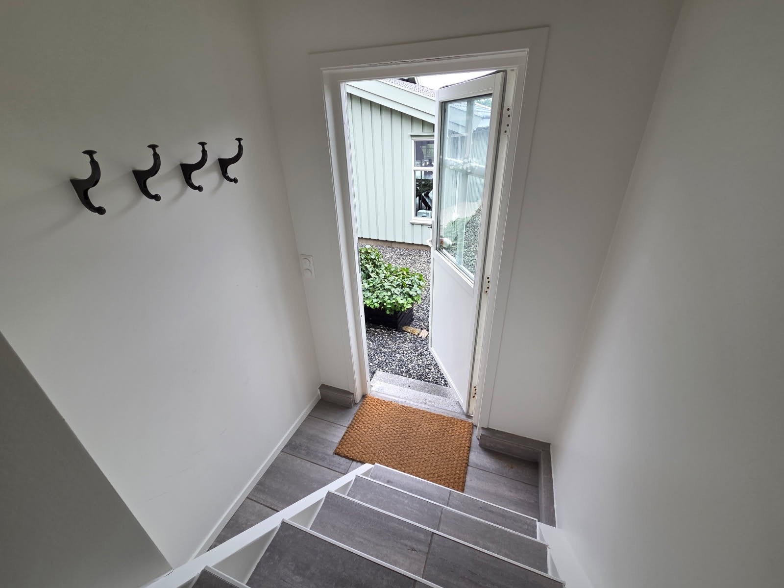 Entre grasjeloft. Galleribilde