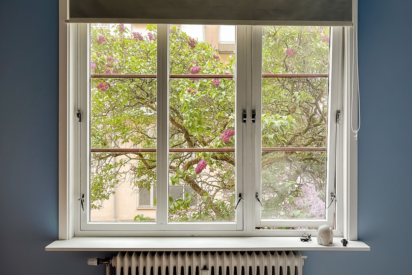 Fra vinduet ser du ut mot grønne omgivelser, skjermet fra byens larm. Galleribilde