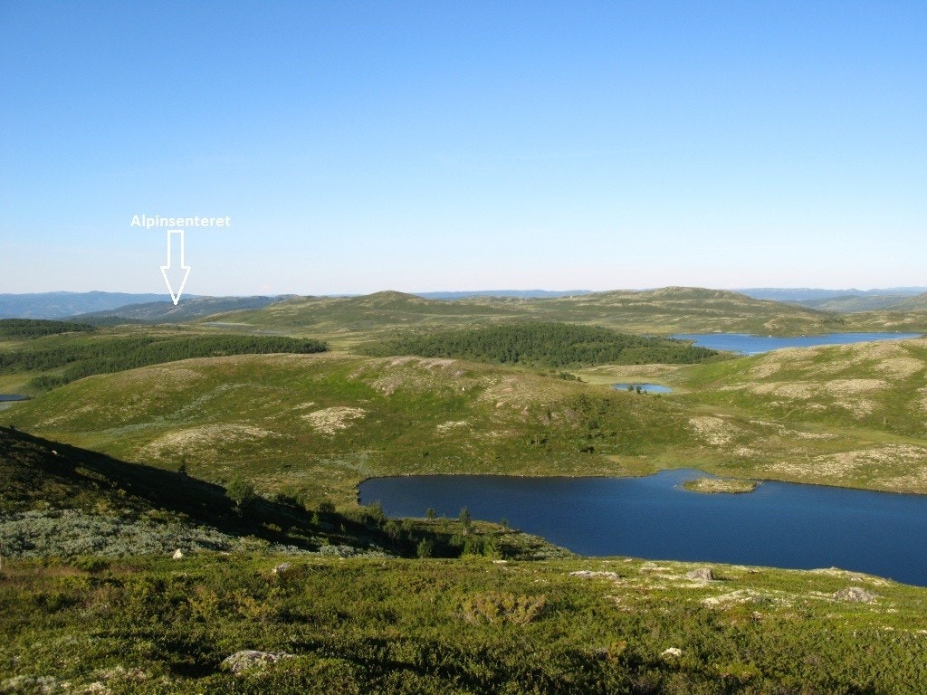 Fantastisk turterreng med fiskevann og bademuligheter Galleribilde