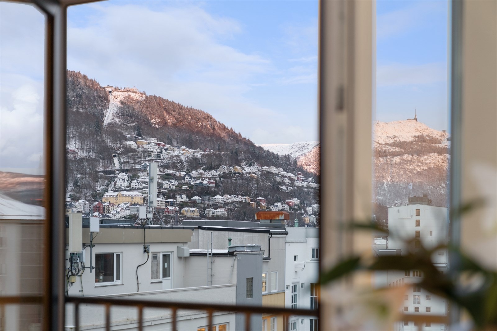 Utsikt fra stue Galleribilde