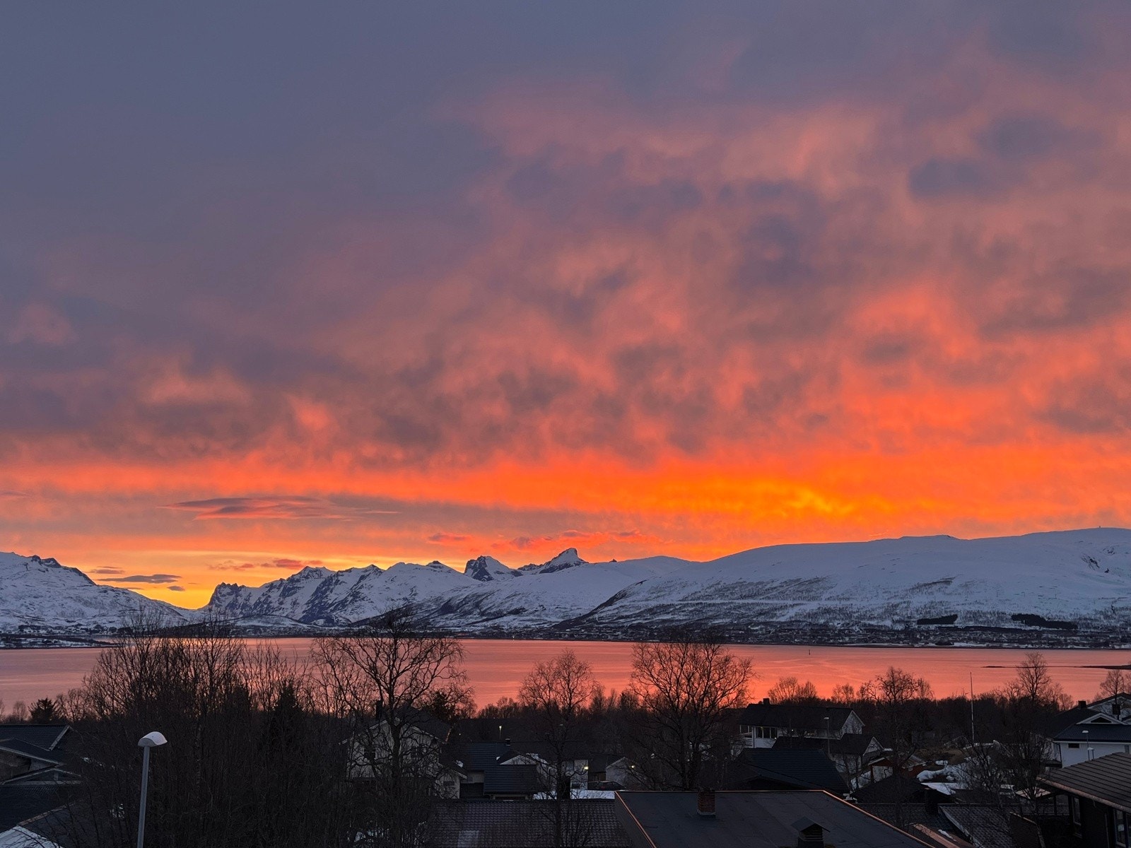 Selgers private bilde. Galleribilde