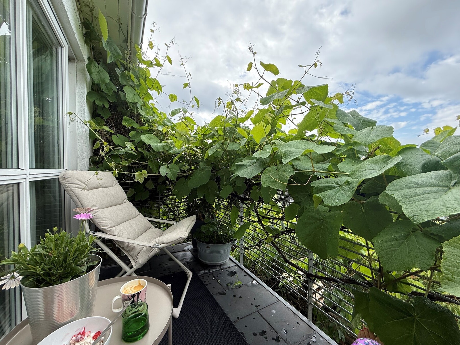 Selgers private foto Galleribilde