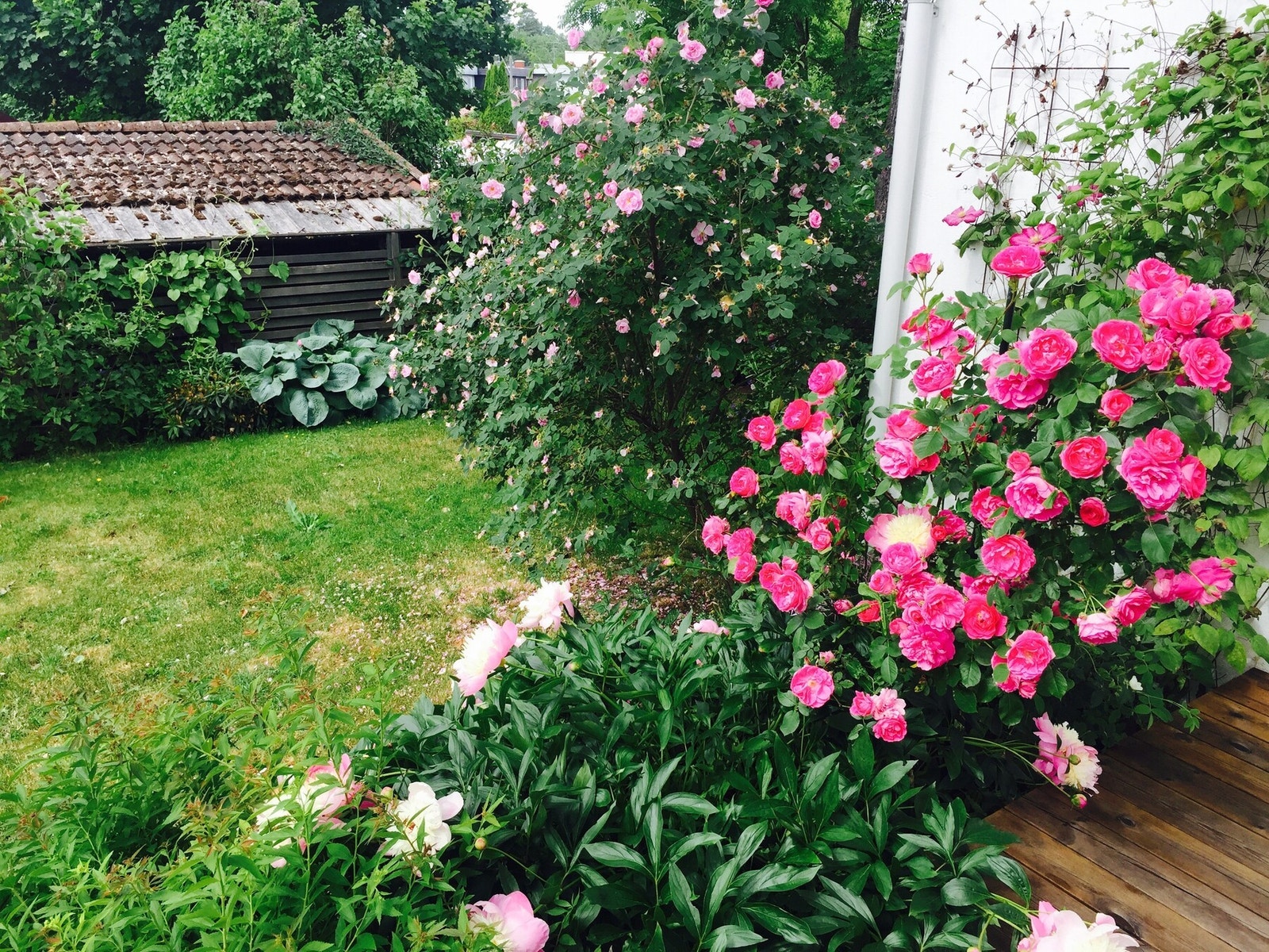 Selgers private foto Galleribilde