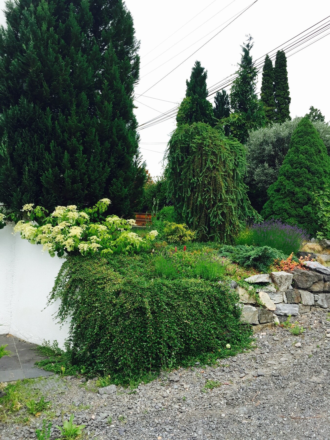 Selgers private foto Galleribilde