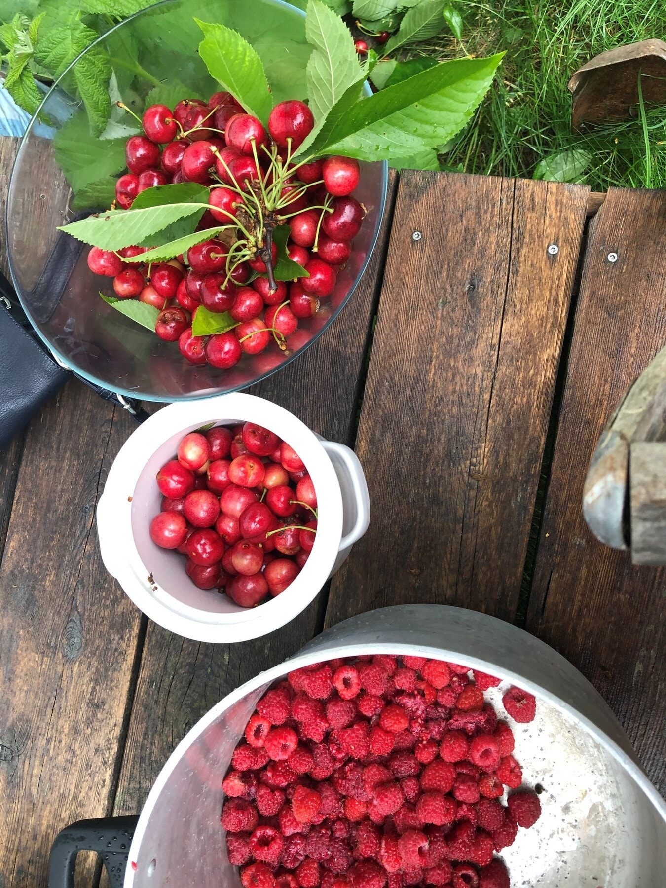 Selgers private foto Galleribilde