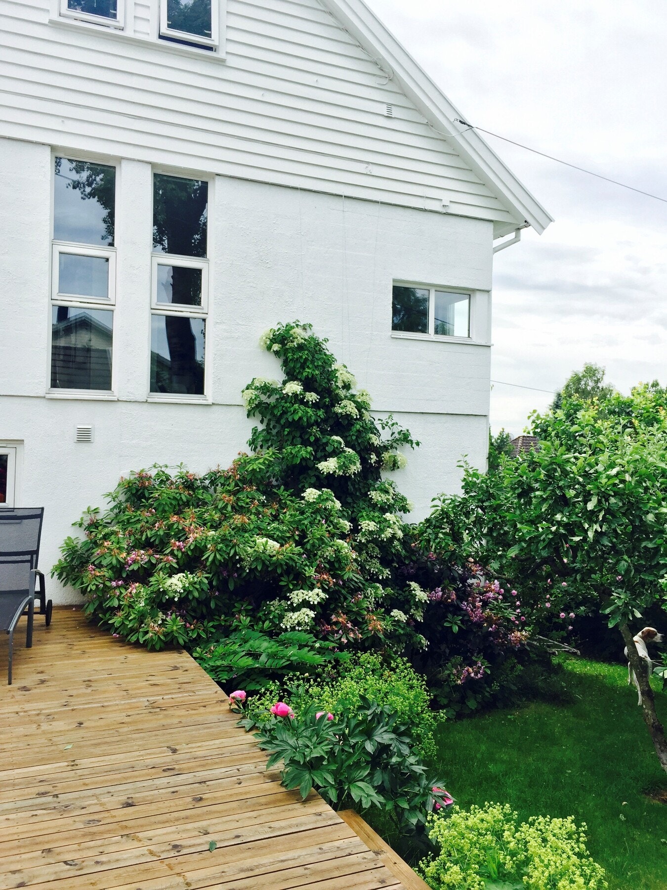 Selgers private foto Galleribilde