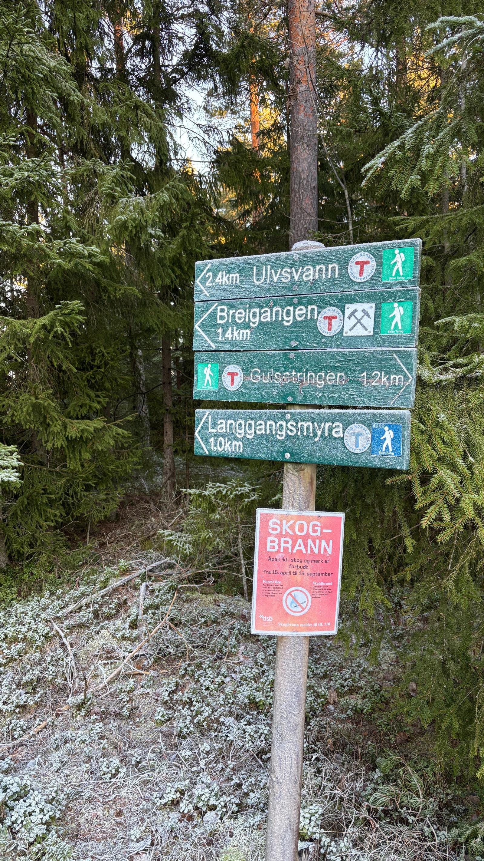 Gulsetmarka Galleribilde