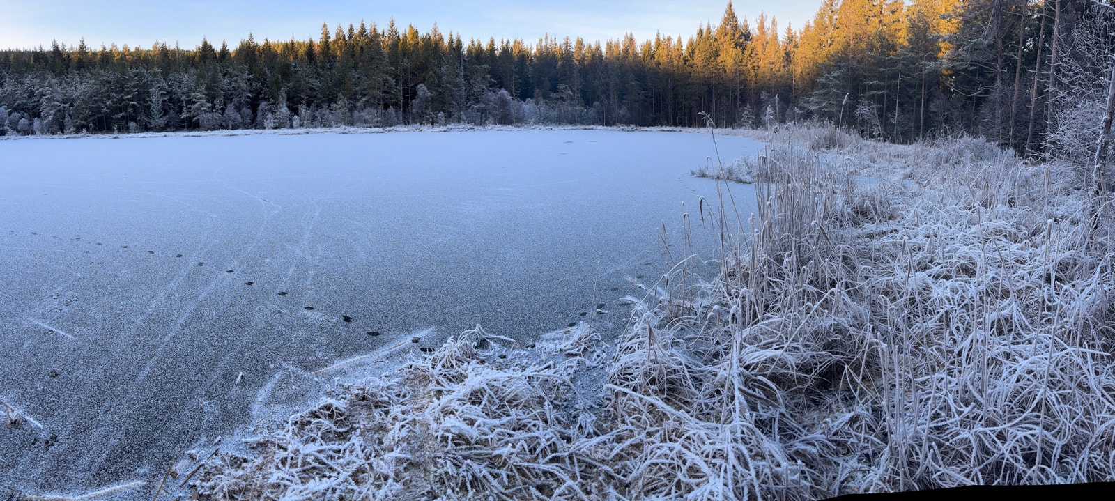 Gulsetmarka Galleribilde